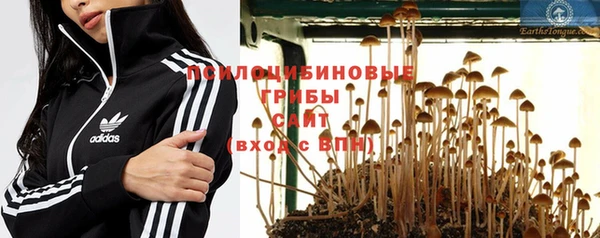 не бодяженный Ахтубинск