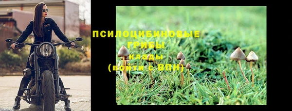 не бодяженный Ахтубинск