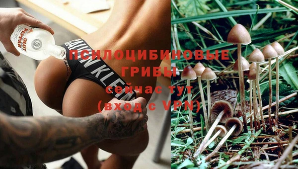 не бодяженный Ахтубинск
