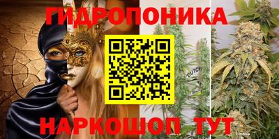 прущие крисы Балаково