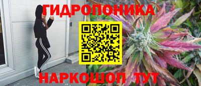 экстази Балахна