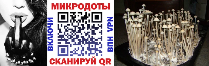 Псилоцибиновые грибы Cubensis  ОМГ ОМГ зеркало  Волжск  что такое  
