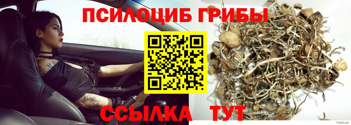 COCAIN  Гашиш  СОЛЬ CK  МЕФ  MDMA  Волжск  Вход с VPN 