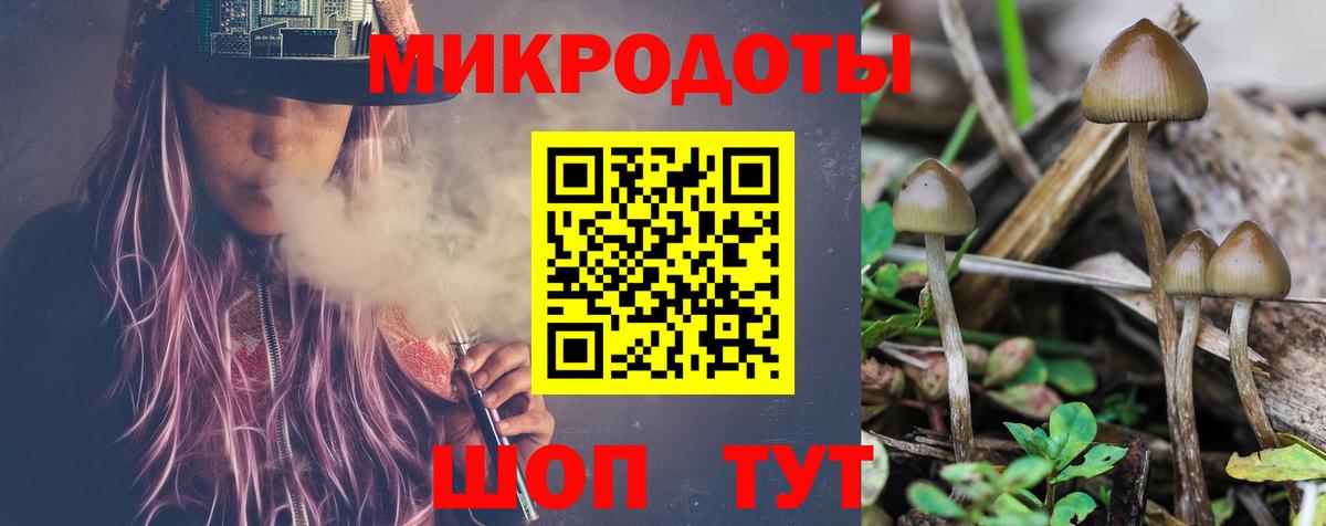 Галлюциногенные грибы Psilocybine cubensis  Вход с VPN  Волжск  дарнет шоп  Галлюциногенные грибы прущие грибы 