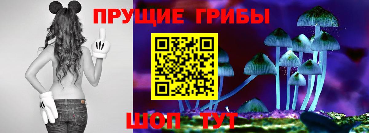 Псилоцибиновые грибы мицелий Волжск